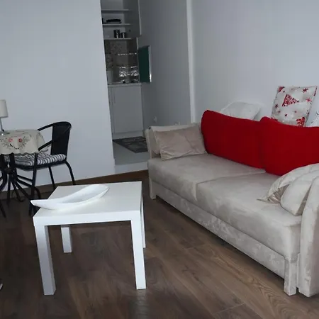 Boki Haus 公寓 波德戈里察